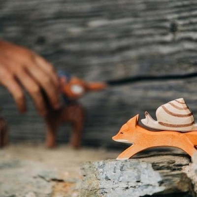 Raposa Ostheimer em Madeira