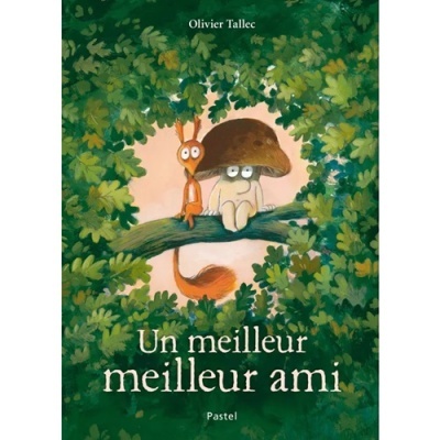 Livro Un meilleur meilleur ami (em francês)
