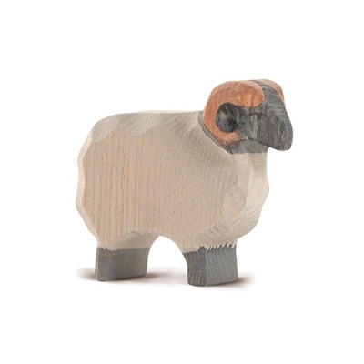 Carneiro Moorland Ostheimer