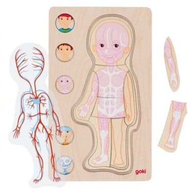 Puzzle Camadas em Madeira - Corpo Humano (Rapaz)