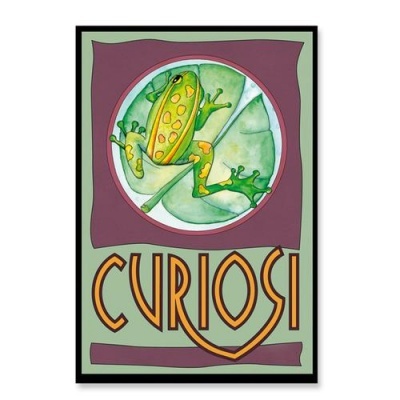 Mini Puzzle 33 Peças - Sapo