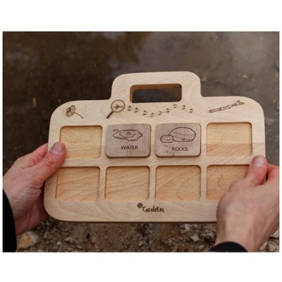 Desafio na Floresta (Nomes em Português)