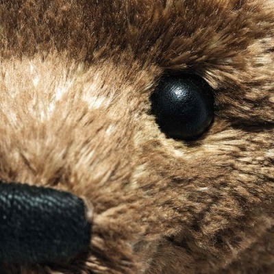 Urso Teddy de Peluche Articulado Steiff - 55PB (Coleção)