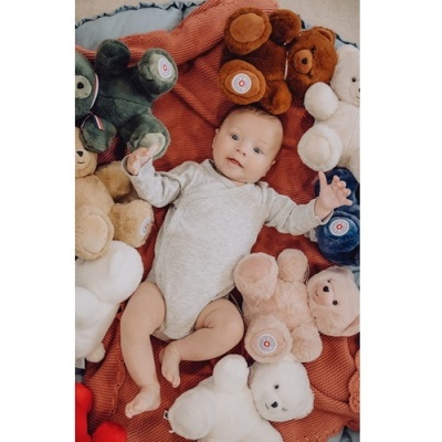 Urso de Peluche Francês Articulado Castanho 25cm