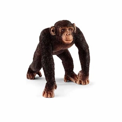 Chimpanzé Macho Schleich
