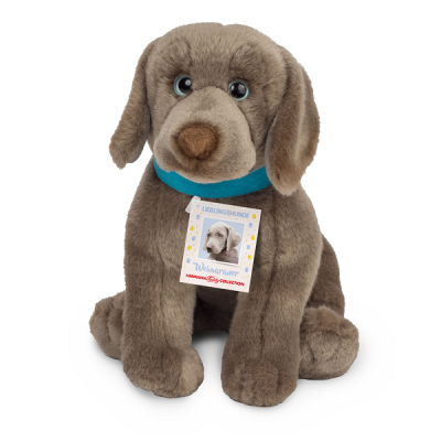 Cachorro de Peluche Weimaraner
