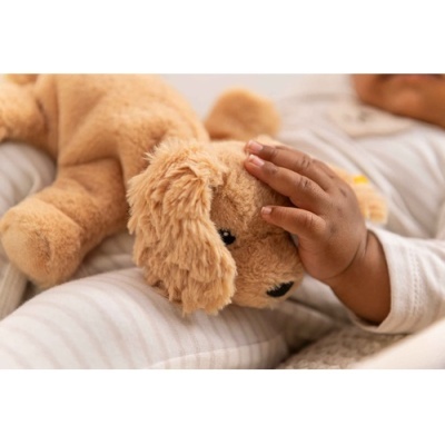 Cãozinho de Peluche - Floppy Lumpi