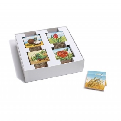 Jogo de Memória - Plantas e Vegetais