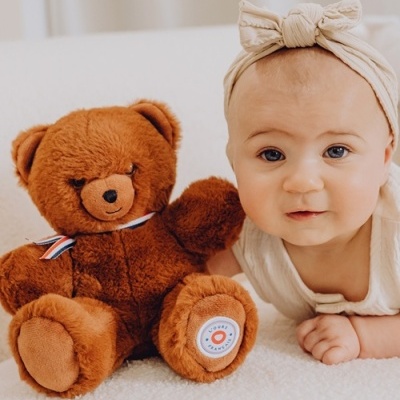 Urso de Peluche Francês Articulado Castanho 25cm