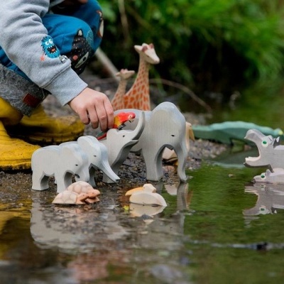 Elefante Bebé Tromba Levantada Ostheimer em Madeira
