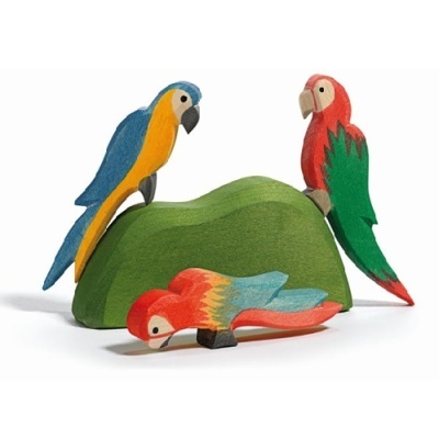 Papagaio Azul Ostheimer em Madeira