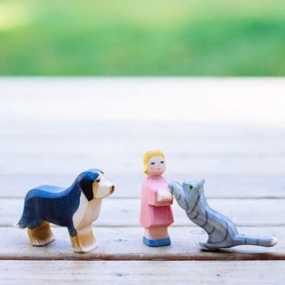 Cão de Montanha Berna Ostheimer em Madeira