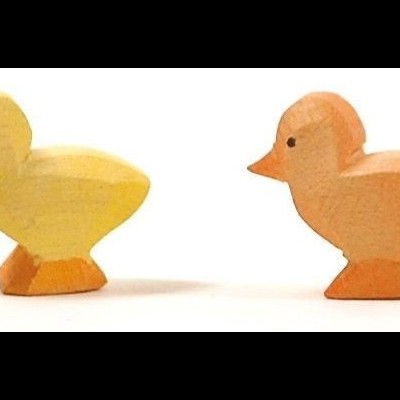 Pintainho Amarelo Ostheimer