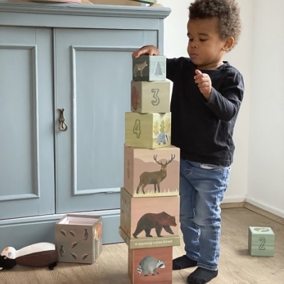 Cubos Empilháveis - Bosque