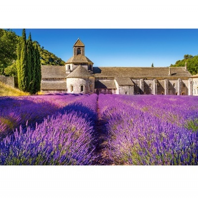 Puzzle 1000 peças - Campo de Lavandas na Provença