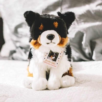 Cão Border Collie de Peluche