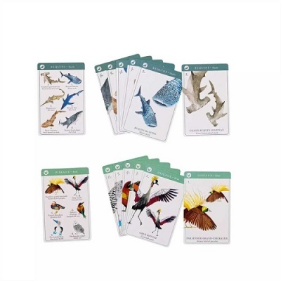 Jogo 7 Famílias - Animais do Mundo