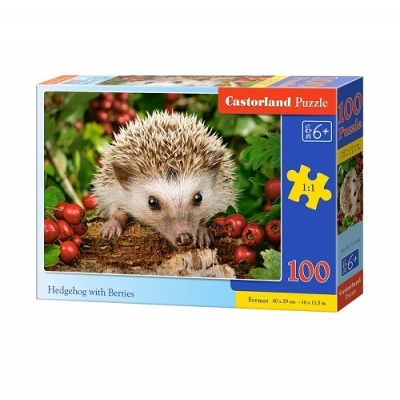 Puzzle 100 peças - Ouriço com Bagas