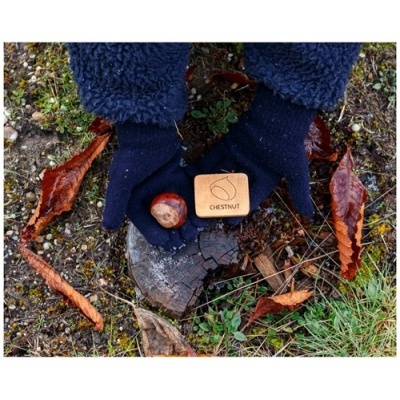 Desafio na Floresta (Nomes em Português)