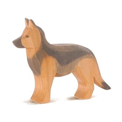 Pastor Alemão Ostheimer