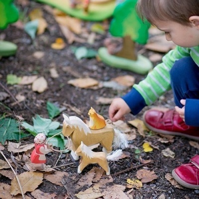 Potro Ruivo Ostheimer em Madeira