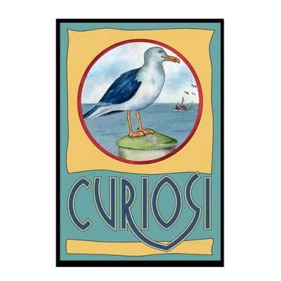 Mini Puzzle 33 Peças - Gaivota