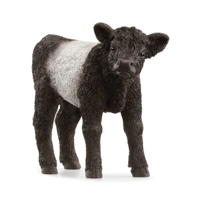 Vitelo Galloway Schleich