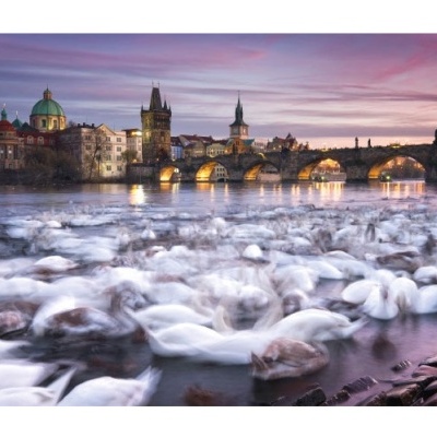 Puzzle 1000 Peças - Praga