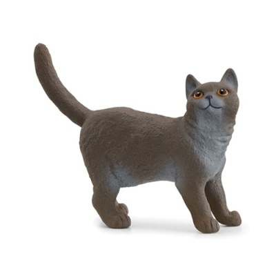 Gato de Pelo Curtos Britânico Schleich