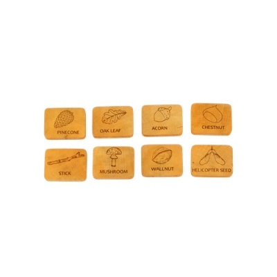 Pistas de Estações para Desafio na Floresta (Nomes em Português)