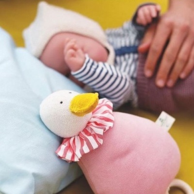 Caixa de Música Orgânica Ganso