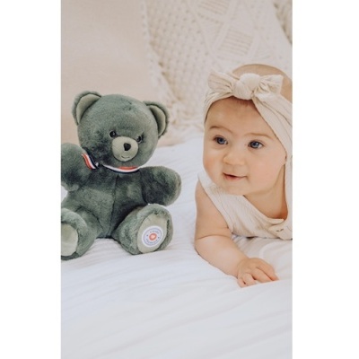 Urso de Peluche Francês Articulado Verde Caqui 25cm