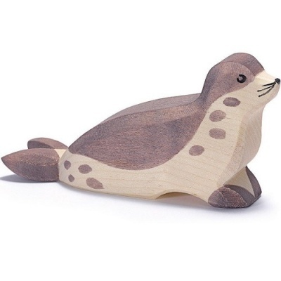 Foca Ostheimer em Madeira