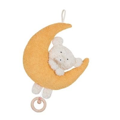 Caixa de Música Lua com Ursinho - Orgânico