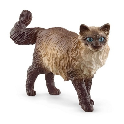Gato Ragdoll Schleich