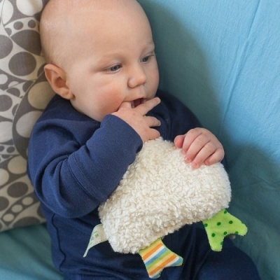 Roca Galinha de Peluche - Orgânico