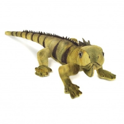Iguana de Peluche