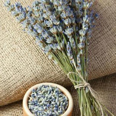 Almofada Térmica Lavanda - ECO