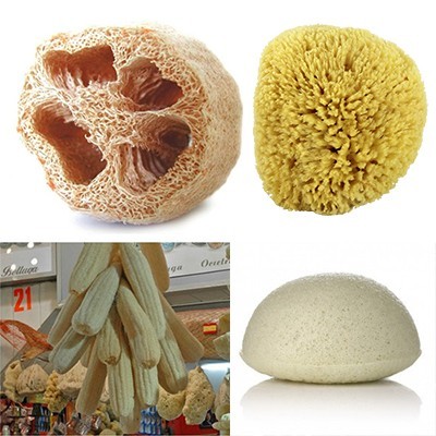 Esponjas & Escovas Naturais