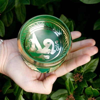 Sino tibetano verde e dourado em mão com fundo de folhas verdes