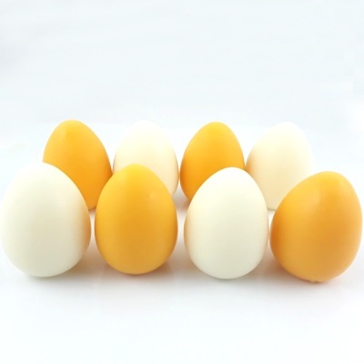 Oito ovos brancos e amarelos em duas filas sobre fundo branco