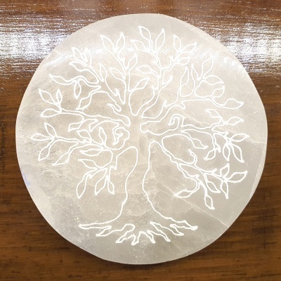 Disco redondo translúcido creme com gravura de árvore branca sobre mesa de madeira