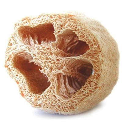 Lufa - Esponja Vegetal