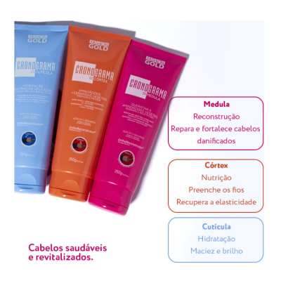 Kit Cronograma Capilar - Fashion Gold Kit Cronograma Capilar - Fashion Gold