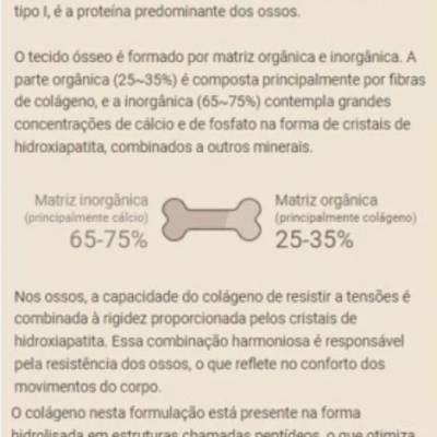 Essential&#x20;Nutrition&#x20;Collagen&#x20;Bones&#x20;Baunilha&#x20;483g