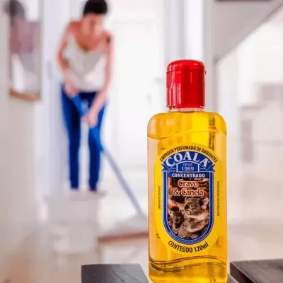 Limpador&#x20;Perfumado&#x20;de&#x20;Ambientes&#x20;Coala&#x20;-&#x20;Cravo&#x20;e&#x20;Canela&#x20;-&#x20;120&#x20;ml&#x2705;PRONTA&#x20;ENTREGA