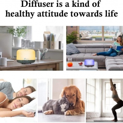 Difusor&#x20;de&#x20;&#x00D3;leo&#x20;Essencial&#x20;500&#x20;ml