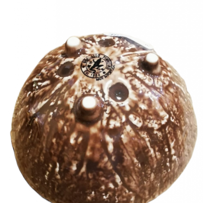 Bordallo Pinheiro Coco - Tigela Decoração