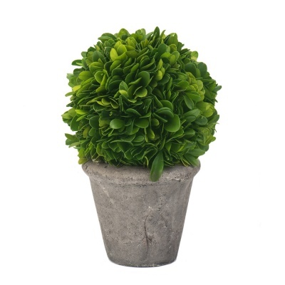 Boxwood&Barrel Buxo Preservado Cinza 12 cm