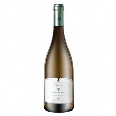 Terras Madre de Água 2019 Vinho Branco Dão DOC
